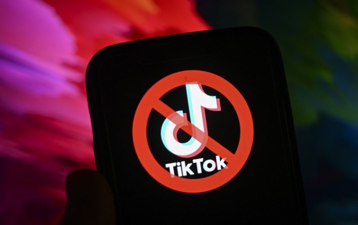 TikTok могут заблокировать в Евросоюзе