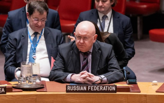 Россия призывает ввести санкции против Израиля