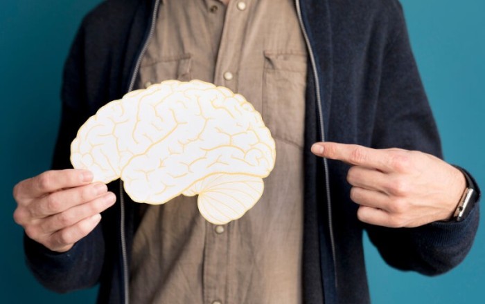 Ученые обнаружили в мозге новый механизм памяти