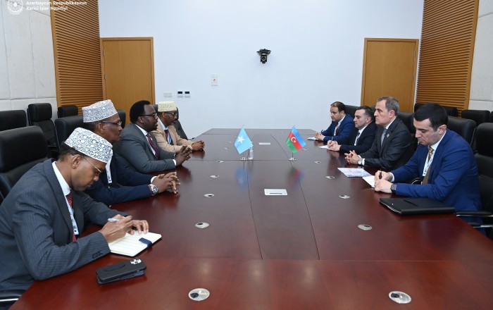 Обсуждены вопросы взаимного сотрудничества между Азербайджаном и Сомали - ФОТО