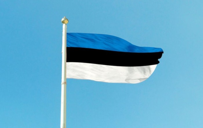 Эстонский парламент разрешил Таллинну использовать замороженные активы России