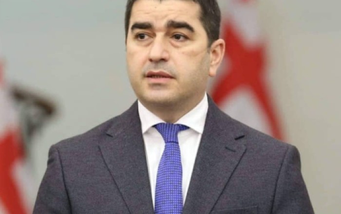 Папуашвили подпишет закон «об иноагентах» вместо Зурабишвили
