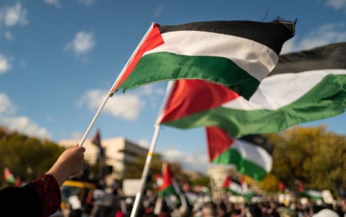 Все больше стран готовы признать Палестину