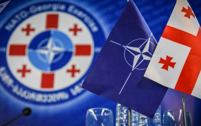 НАТО призывает Грузию изменить решение о законе об иноагентах