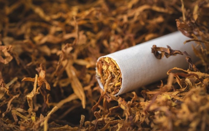 В Азербайджане не прошедшие регистрацию производители табачной продукции будут оштрафованы