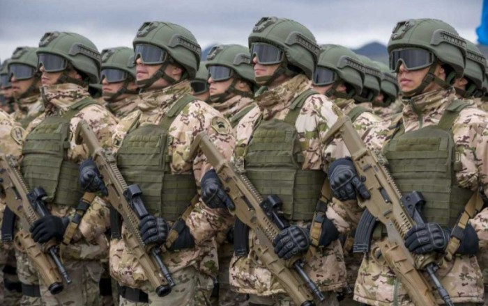 Заместитель генсека НАТО: У альянса нет намерения направлять солдат в Украину