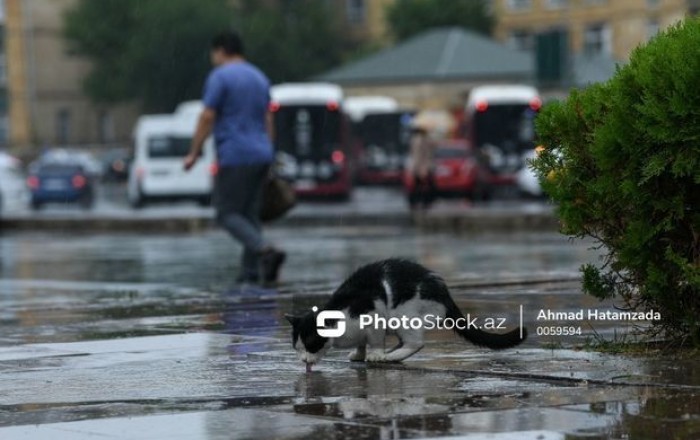 В Баку ожидается усиление ветра и дождя - ПРЕДУПРЕЖДЕНИЕ
