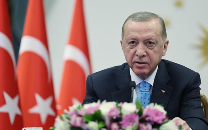 Эрдоган: Провокации иностранных держав в нашем регионе должны быть пресечены