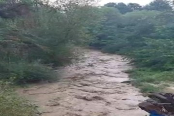 Вышедшая из берегов Кура наделала бед в Газахском районе (фото)