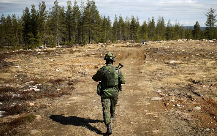 Член НАТО заявил о повышении боеготовности на границе с Россией