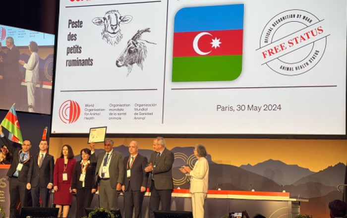 Азербайджан наградили в Париже