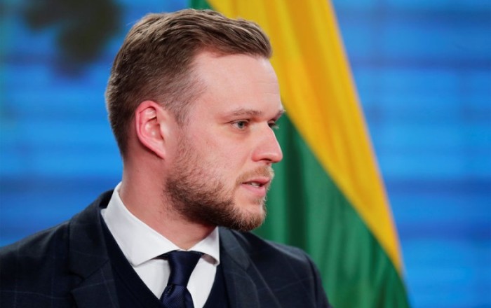 В Литве назвали единственный способ спасти Украину