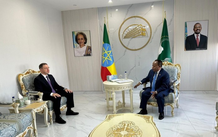 Азербайджанский посол обсудил с главой МИД Эфиопии СОР29