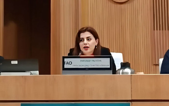 Парвана Велиева: Азербайджан стремится сыграть роль связующего звена между странами на COP29
