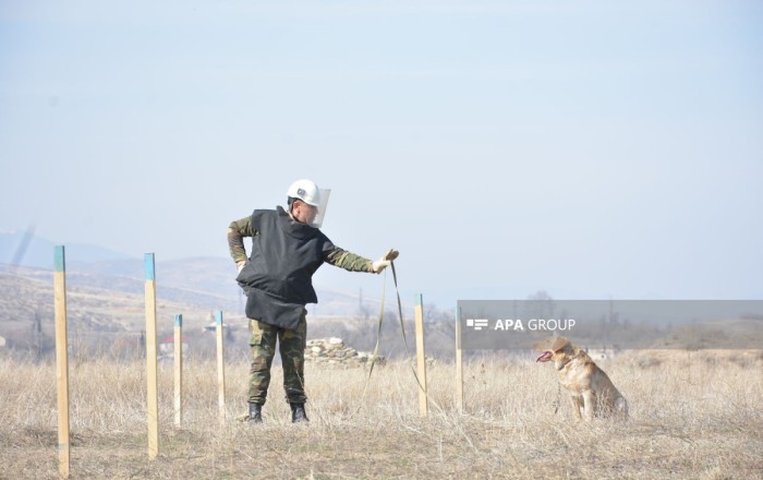 EU to continue its support to Azerbaijan in field of humanitarian mine clearance