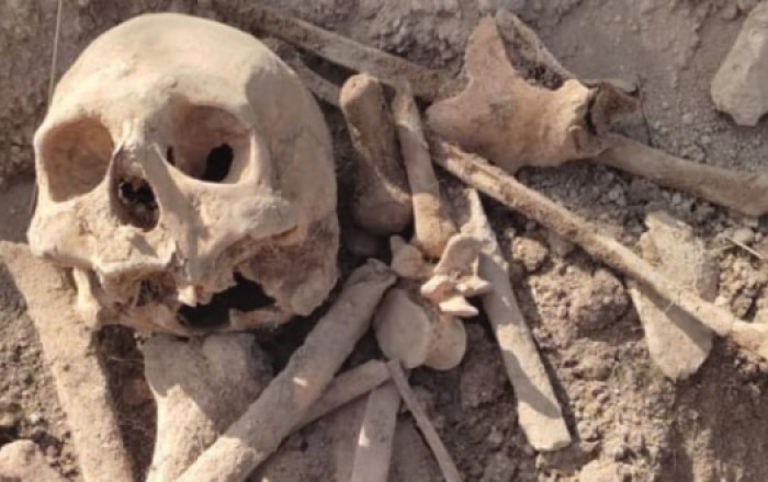 В Суговушане обнаружили человеческие останки