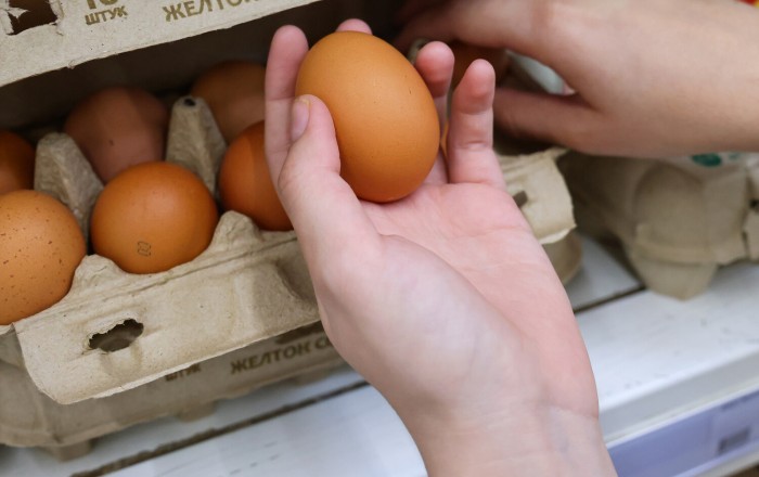 В текущем году Азербайджан отправил в Россию 47,7 млн яиц