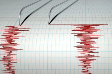 У побережья Венесуэлы произошло землетрясение