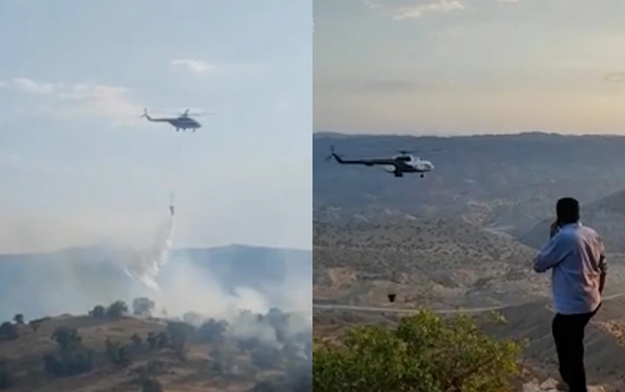 İranda güclü meşə yanğınları davam edir