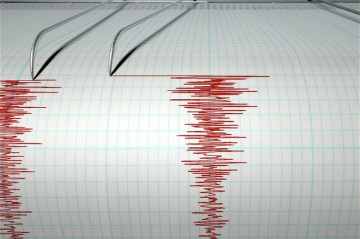 У берегов Индонезии произошло землетрясение магнитудой 5,6
