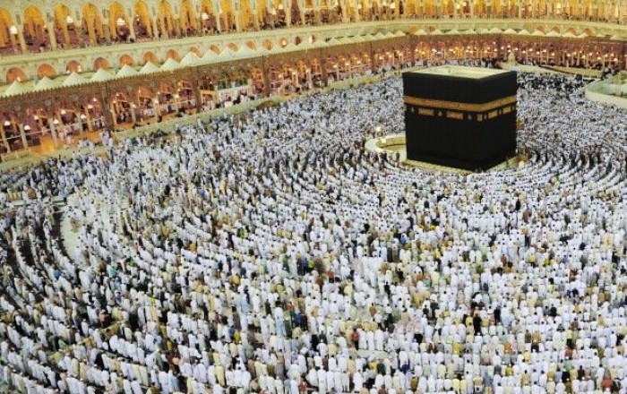 More than half of the pilgrims who died during the Hajj