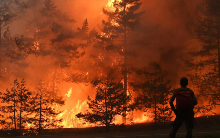 В Якутии ввели федеральный режим ЧС из-за лесных пожаров