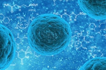 Norovirus cases surge in US