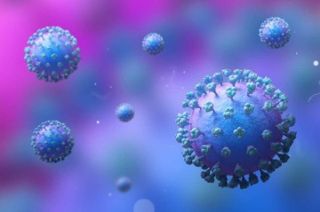 Metapneumovirus strains detected in Kazakhstan