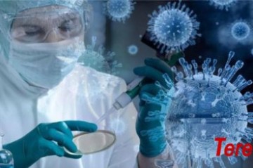 Israeli researchers discover virus defense system in marine bacteria