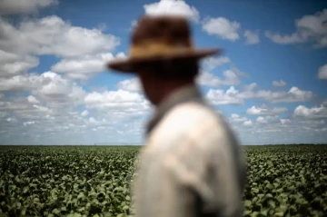 China's trade tensions with US may harm soybean industry Experts Warn