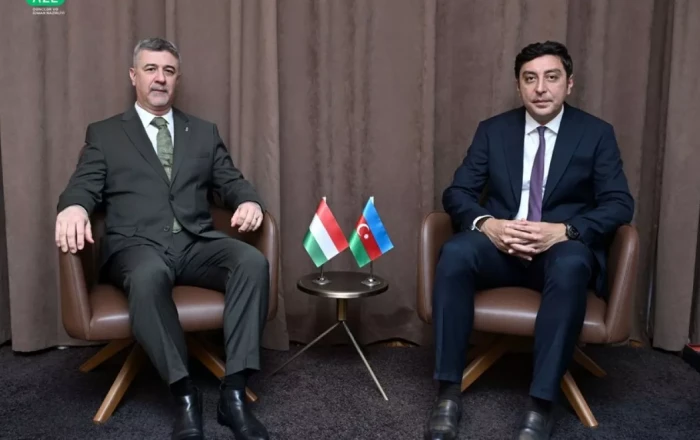 Azerbaijan, Hungary eye stronger ties in youth policy, sports at high-level meeting