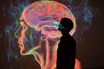 How cerebral cortex detects novelty A groundbreaking study on memory and prediction