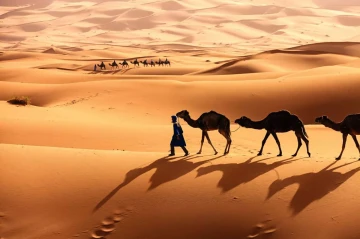 AI, imaging tech reveal hidden ancient sites beneath desert sands