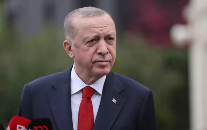 Turkish president blames opposition for recent wave of violence across country