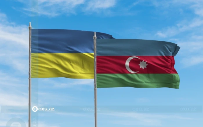 Как пандемия и конфликт в Украине повлияли на азербайджанские инвестиции в эту страну?