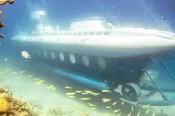 Six dead after tourist submarine sinks in Red Sea