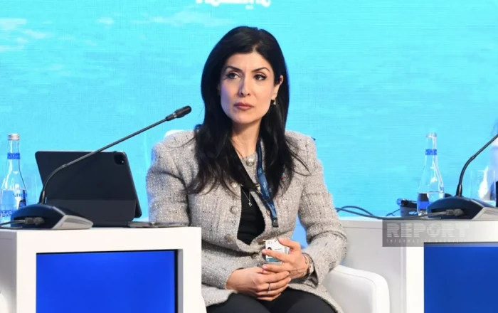 UN Climate High-Level Champion: Azerbaijan commits full support for successful COP30 in Brazil