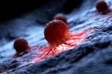 US scientists uncover natural remedy for cancer, neurodegenerative diseases