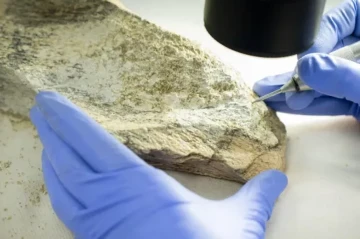 Ancient bone tools shed new light on human evolution in Tanzania