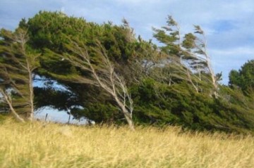 Windy weather is expected in Baku