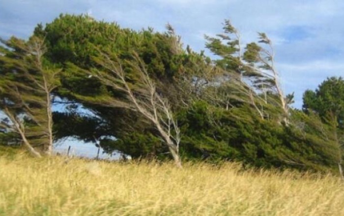 Windy weather is expected in Baku