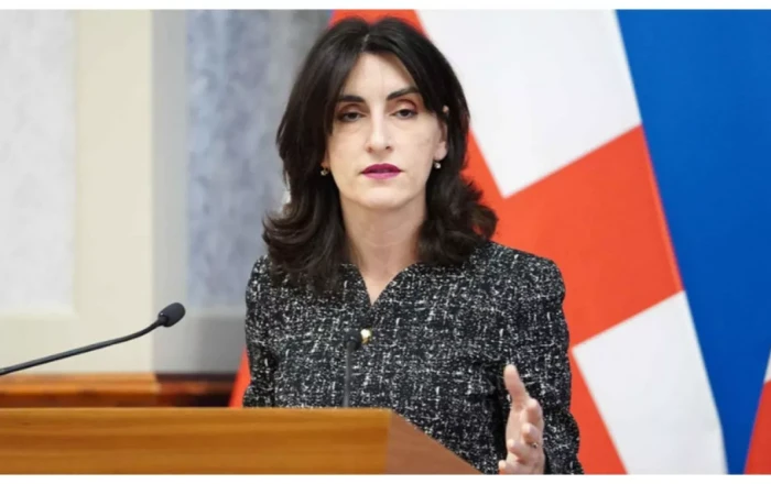 Georgian FM slams foreign-funded radicalism after prank call to Zourabichvili