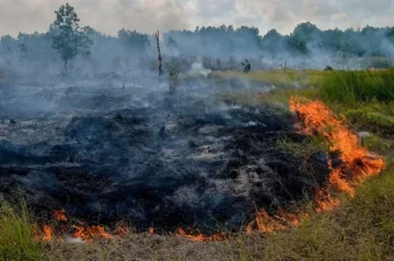 Firefighters struggle to contain blaze devouring 450 hectares in national park, eastern Poland