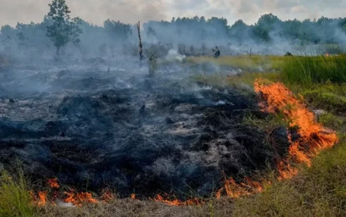 Firefighters struggle to contain blaze devouring 450 hectares in national park, eastern Poland
