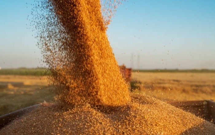 Azerbaijan’s wheat imports grow in Q1 2025