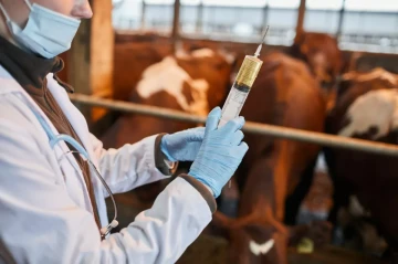 Azerbaijan, Iran strengthen veterinary cooperation with new MoU on animal health
