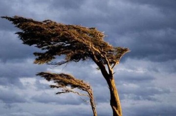 Azerbaijan weather: Winds and fog on April 5