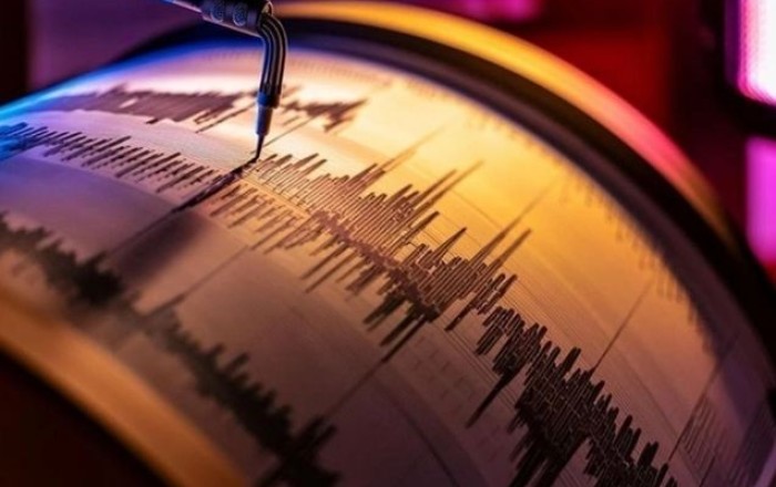 У берегов Новой Зеландии произошло сильное землетрясение