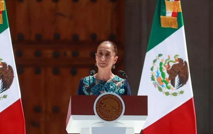 Mexico’s drug cartel offensive: Over 750 labs dismantled In first six months