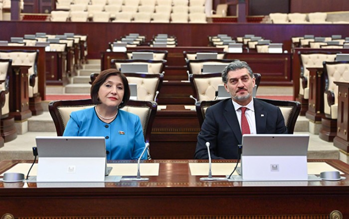 Gürcüstan Prezidenti Milli Məclisdə olub -